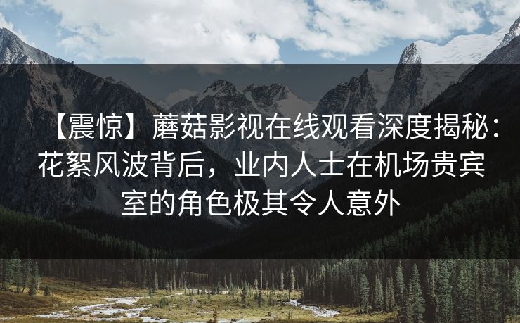 【震惊】蘑菇影视在线观看深度揭秘：花絮风波背后，业内人士在机场贵宾室的角色极其令人意外