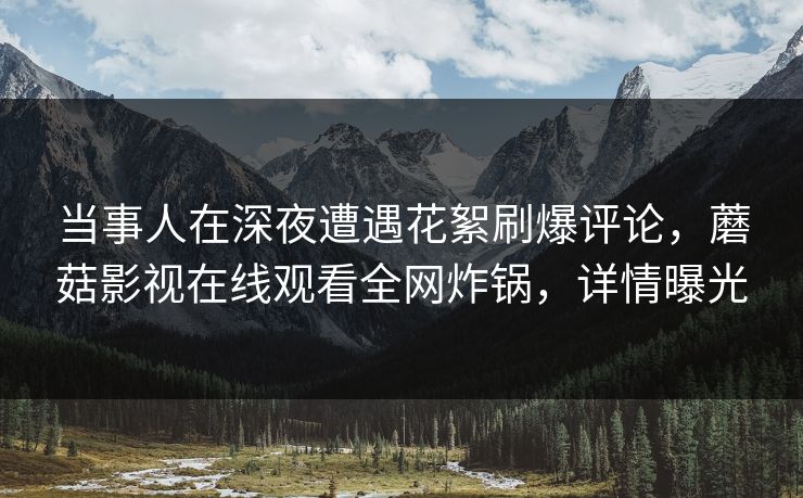 当事人在深夜遭遇花絮刷爆评论，蘑菇影视在线观看全网炸锅，详情曝光