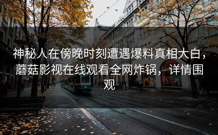 神秘人在傍晚时刻遭遇爆料真相大白,蘑菇影视在线观看全网炸锅,详情围观 神秘人在傍晚时刻遭遇爆料真相大白,蘑菇影视在线观看全网炸锅,详情围观
